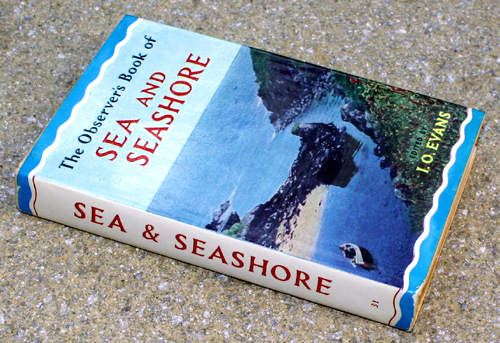 31. The Observer's Book of Sea & Seashore Very Rare Glossy Edition