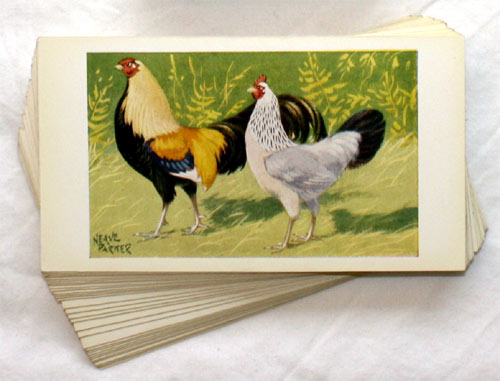 Observer's Picture Cards - Domestic Animals 32 PICTURE CARDS plus Box