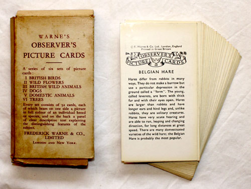 Observer's Picture Cards - Domestic Animals 32 PICTURE CARDS plus Box