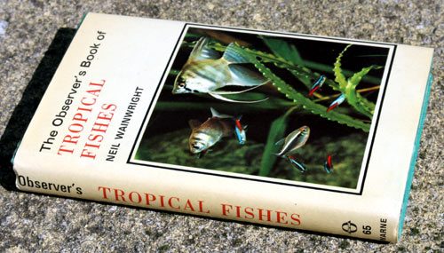 65. The Observer's Book of Tropical Fishes