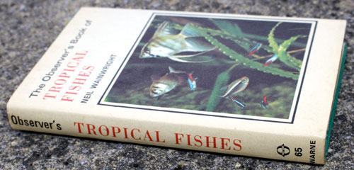 65. The Observer's Book of Tropical Fishes