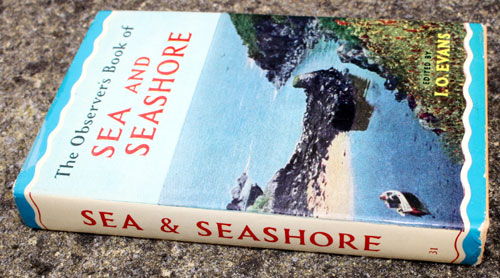 31. The Observer's Book of Sea & Seashore Very Rare Glossy Edition