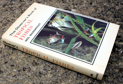 65. The Observer's Book of Tropical Fishes