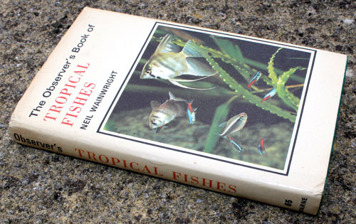 65. The Observer's Book of Tropical Fishes