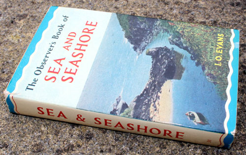 31. The Observer's Book of Sea & Seashore Very Rare Glossy Edition