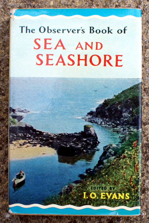 31. The Observer's Book of Sea & Seashore Very Rare Glossy Edition