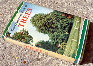4. The Observer's Book of Trees Rare Horse Chestnut Cover