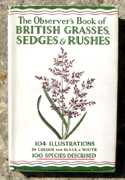 The Observers Book of British Grasses <br>Sedges & Rushes