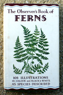 The Observers Book of Ferns