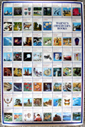 The Observers Promotional Poster <br> No. 97/100 - Limited Run