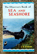 The Observers Book of Sea & Seashore