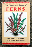The Observers Book of Ferns