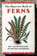 The Observers Book of Ferns